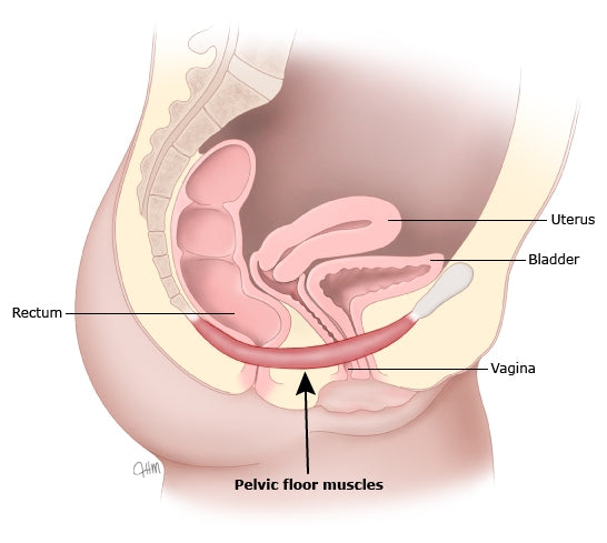 ejercicios de kegel