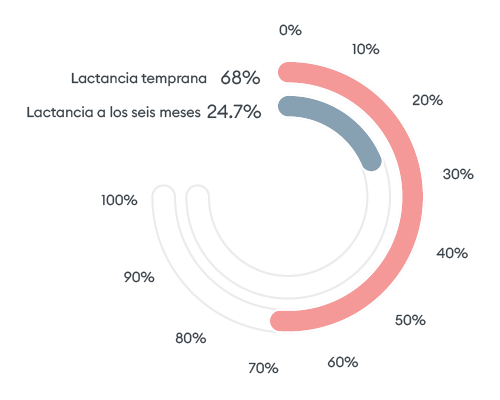 Grafico lactancia
