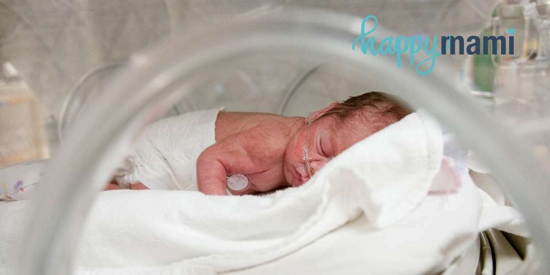 Leche de fórmula para prematuros