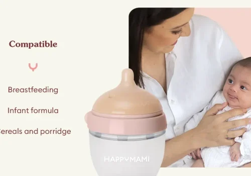 blog-compatible-lactancia-materna.webp